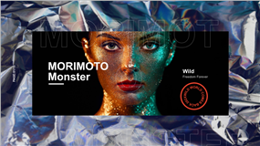 前卫艺术潮酷视觉时尚摄影作品集ppt模板